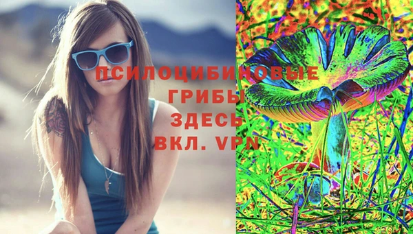 apvp Касимов