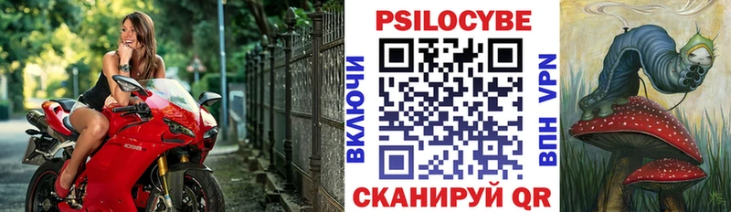 Галлюциногенные грибы Magic Shrooms  Купить  Рыльск 